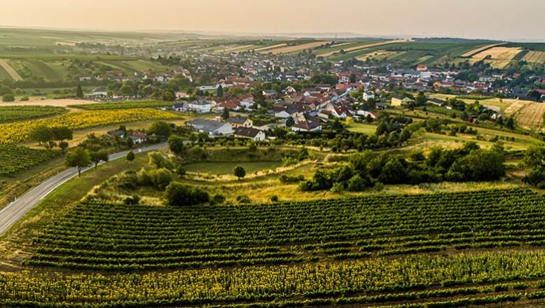 Weinort Herrnbaumgarten, © Robert Herbst / POV Weinort Herrnbaumgarten, © Robert Herbst / POV