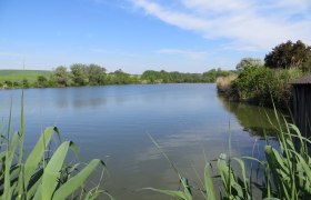 Teichlandschaft Nexing, © Urani Teichlandschaft Nexing, © Urani