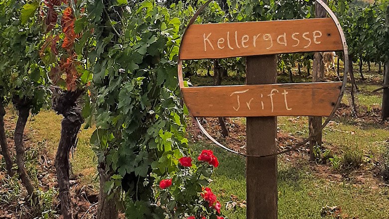 Treffpunkt, © Dominik Hiller Treffpunkt, © Dominik Hiller