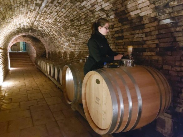 Ein Blick hinter die Kulissen, © Weingut Frank Ein Blick hinter die Kulissen, © Weingut Frank