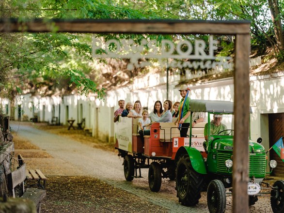 Traktorrundfahrt in Poysdorf, © Michael Reidinger Traktorrundfahrt in Poysdorf, © Michael Reidinger