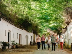 Kellergasse Radyweg, © Michael Reidinger Kellergasse Radyweg, © Michael Reidinger