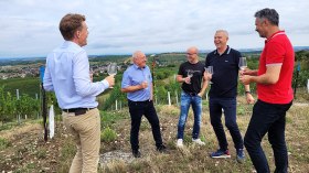 In die Grean gehen, © Weingut Frank In die Grean gehen, © Weingut Frank