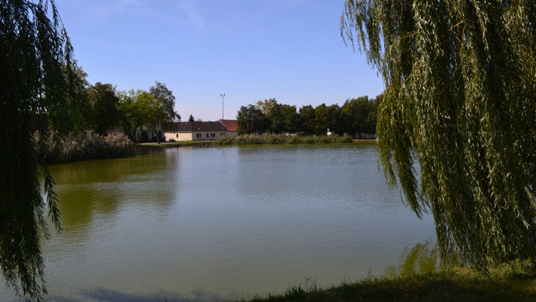 Teich, © Gemeinde Neudorf/ Staatz Ein ruhiger Teich mit umgebenden Bäumen und Gebäuden im Hintergrund.