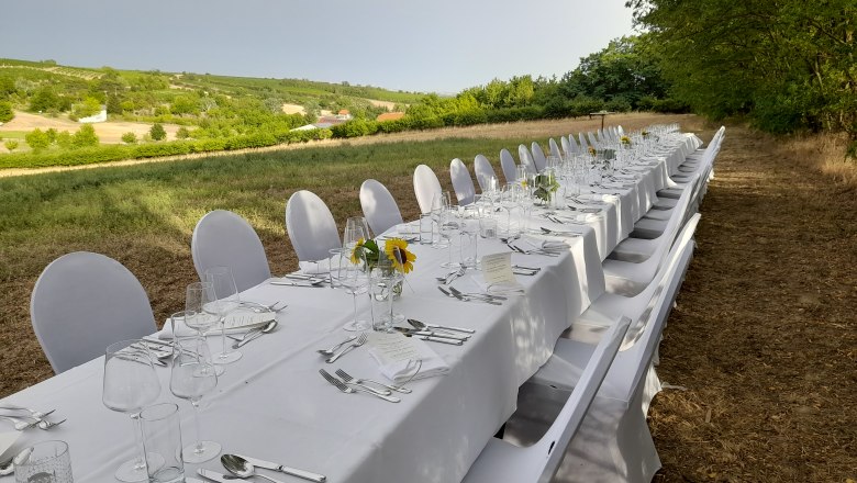 Tafeln im Weinviertel, © Weinviertel Tourismus GmbH Lange, elegant gedeckte Tafel im Freien mit weißen Tischdecken und Stühlen, umgeben von Natur.