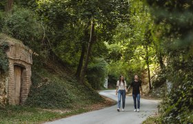 Kellergasse Schindergasse, © Weinviertel Tourismus / Michael Reidinger Ein Paar spaziert auf einer von Bäumen gesäumten Straße in einer ländlichen Umgebung.