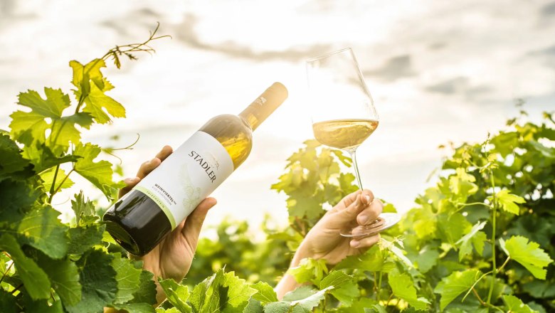 Eine Hand hält eine Weinflasche, eine andere ein Weinglas in einem Weinberg bei Sonnenlicht.