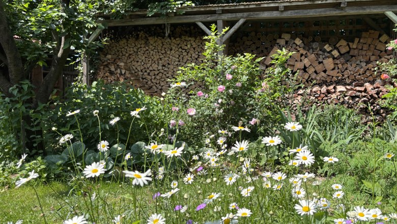 Ein blühender Garten mit Gänseblümchen und einem Holzstapel im Hintergrund.