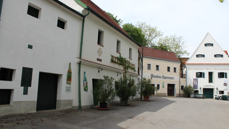 Kellergasse in Poysdorf mit traditionellen Weinhäusern und Pflanzen.