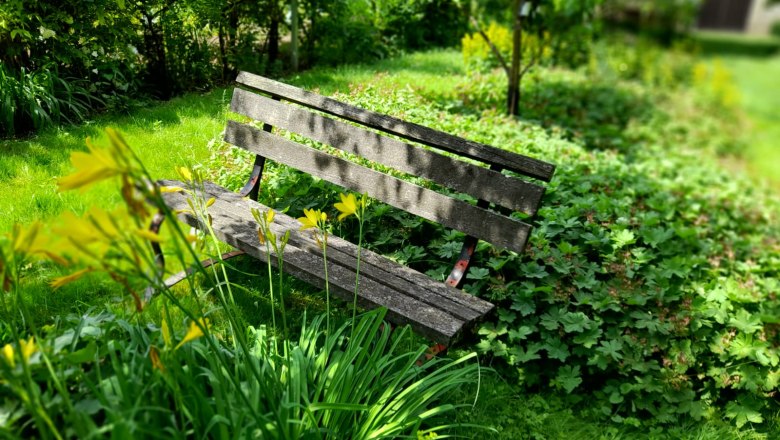 Holzbank in einem grünen Garten mit gelben Blumen im Vordergrund.