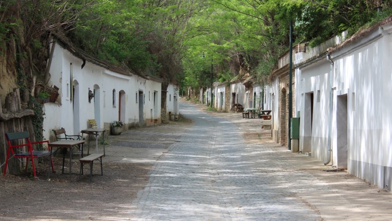 Eine ruhige Kellergasse in Poysdorf mit weißen Weinkellern und grünen Bäumen im Sommer.