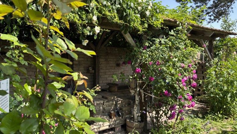 Ein blühender Garten mit Rosen und einer überdachten Holzstruktur.