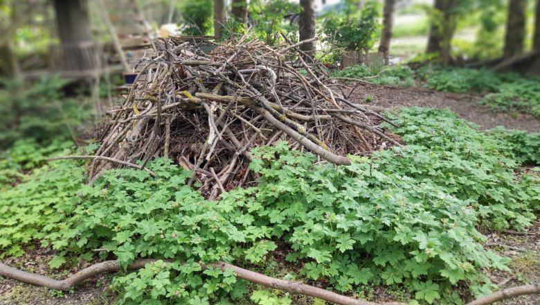 Ein Haufen aus Ästen und Zweigen in einem Garten, umgeben von grünen Pflanzen.