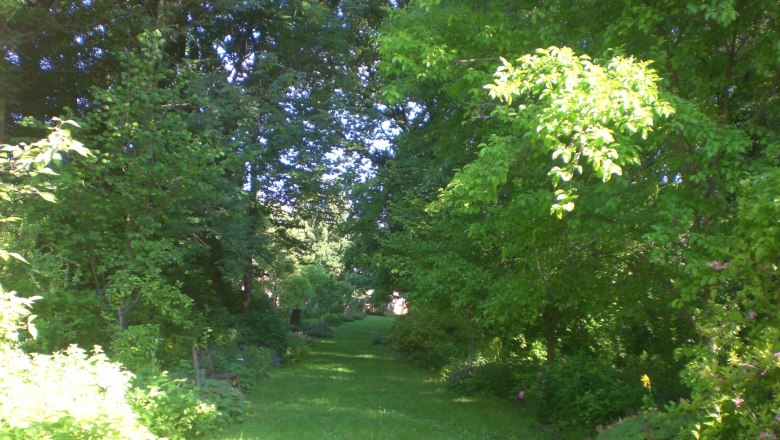 Ein grüner Landhausgarten mit Bäumen und Sträuchern.