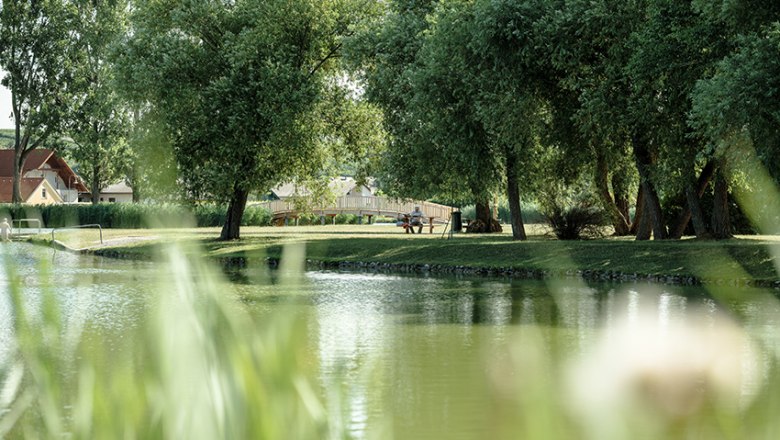 Ein ruhiger Teich mit Bäumen und einer Brücke im Hintergrund.