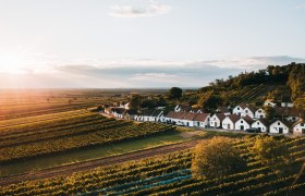 Luftaufnahme der Kellergasse Galgenberg in Wildend&uuml;rnbach, umgeben von Weinbergen bei Sonnenuntergang.