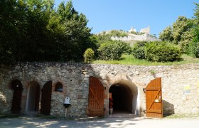 Eingang zu einem Schlosskeller mit Holztüren, darüber eine Burgruine auf einem Hügel.