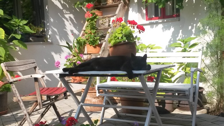 Eine schwarze Katze liegt entspannt auf einem weißen Tisch in einem blühenden Innenhof.