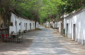 Eine ruhige Kellergasse in Poysdorf mit weißen Weinkellern und grünen Bäumen im Sommer.