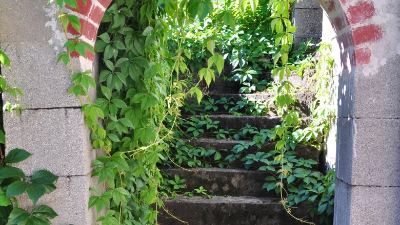 Ein von Pflanzen überwucherter Treppenaufgang durch einen gemauerten Torbogen.