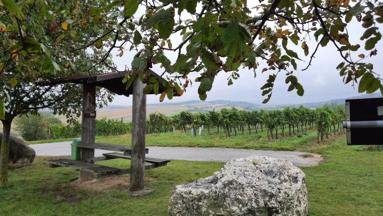 Ein Rastplatz mit Holzb&auml;nken und einem gro&szlig;en Stein in einem Weinberg, umgeben von gr&uuml;nen Reben und B&auml;umen.