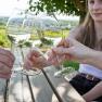 Menschen sto&szlig;en mit Weingl&auml;sern im Freien an, im Hintergrund Weinberge.