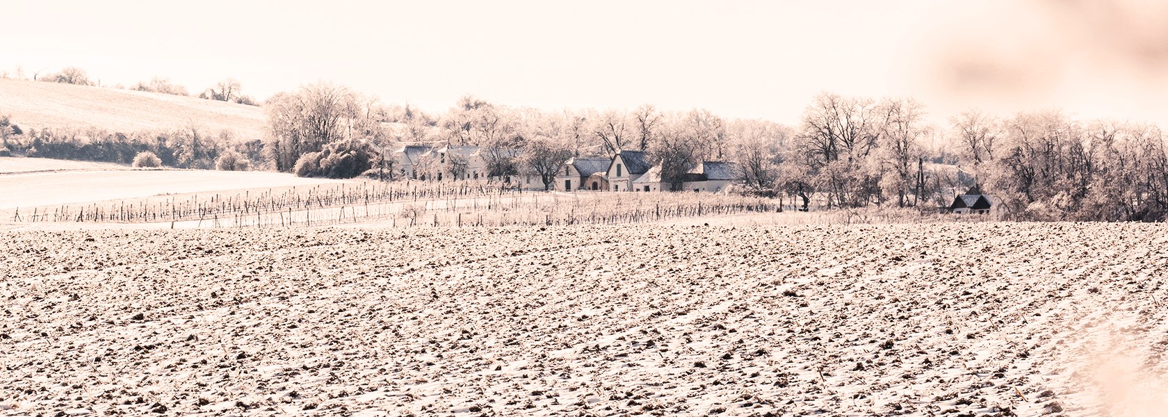Schlossberg in Patzmannsdorf, © Michael Reidinger