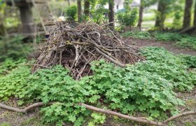 Ein Haufen aus Ästen und Zweigen in einem Garten, umgeben von grünen Pflanzen.