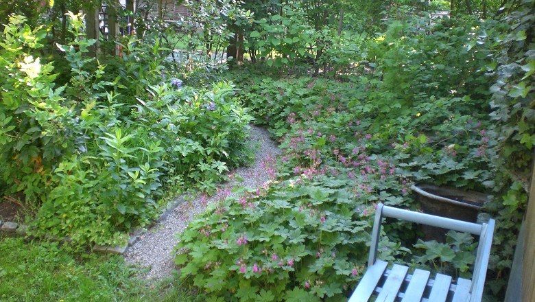 Ein idyllischer Garten mit einem Kiesweg, umgeben von üppigem Grün und blühenden Pflanzen. Eine blaue Bank steht am Wegesrand.