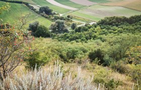 Oberschoderlee Blaue Wand Hornmelde, &copy; Gemeinde Stronsdorf