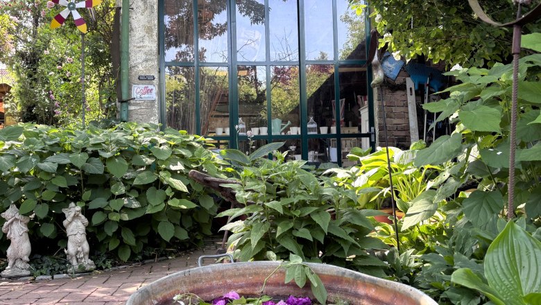 Ein Cottage-Garten mit einem Zinkbehälter voller Blumen, umgeben von üppigem Grün und einer Glasfront mit der Aufschrift 'Seven Sisters Road N15'.