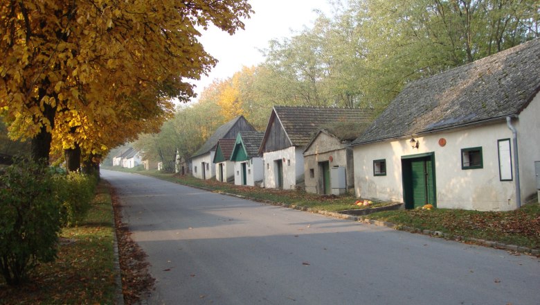 Straße mit Weinkellern und herbstlichen Bäumen.