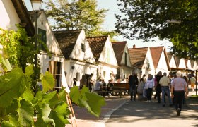 Wein-Kunst-Kultur in Falkenstein, © Weinviertel Tourismus / Lisa Sedlatschek