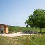 Ein Rastplatz mit Holzh&uuml;tte, Tischen und St&uuml;hlen inmitten von Weinbergen unter einem Baum.