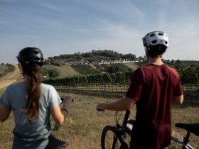 Die sanften H&uuml;gel des Weinviertels laden zu einer erfrischenden Radtour ein. Umgeben von &uuml;ppigen Weinreben und malerischen Ausblicken, genie&szlig;en die Radfahrer die friedliche Atmosph&auml;re und die Sch&ouml;nheit der Natur. Ein perfekter Ort, um die Seele baumeln zu lassen und die frische Luft zu atmen.