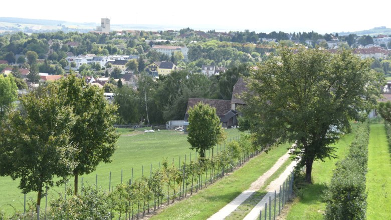 Landschaft mit Weg, Bäumen und Stadt im Hintergrund.