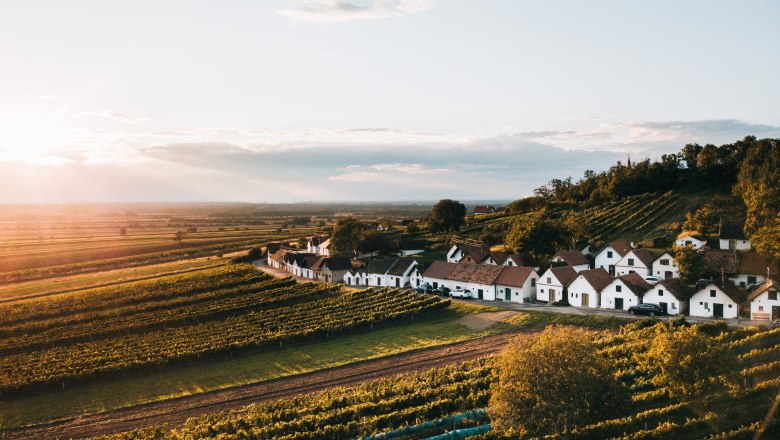 Luftaufnahme der Kellergasse Galgenberg in Wildend&uuml;rnbach, umgeben von Weinbergen bei Sonnenuntergang.