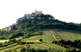 Burgruine Falkenstein auf einem bewaldeten Hügel mit Weinbergen im Vordergrund.