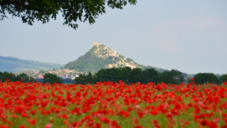 Staatzer Berg, © Erwin Kober
