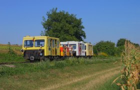 Ein gelbes Schienenfahrzeug fährt durch eine ländliche Gegend mit Bäumen und Feldern.
