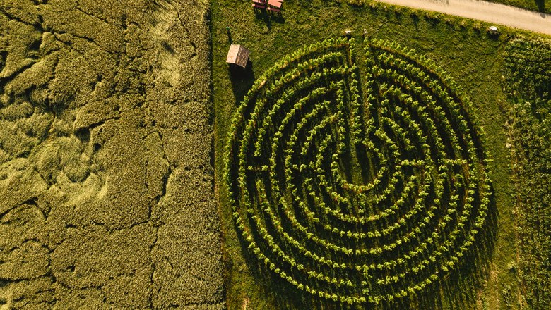 Genussrastplatz beim Weingartenlabyrinth, &copy; Michael Reidinger