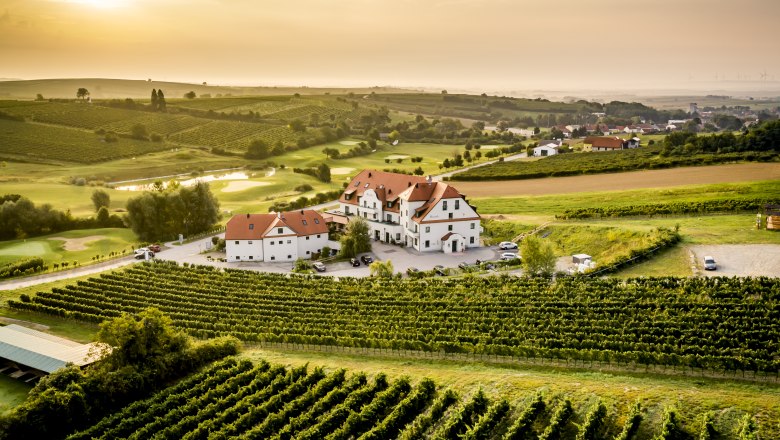 Luftaufnahme eines Hotels inmitten von Weinbergen bei Sonnenuntergang.