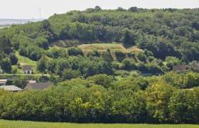 Landschaft mit H&uuml;gel, B&auml;umen und H&auml;usern im Vordergrund.