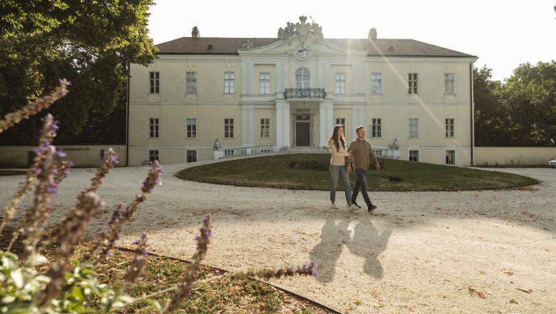 Liechtenstein Schloss Wilfersdorf, &copy; Weinviertel Tourismus / Michael Reidinger