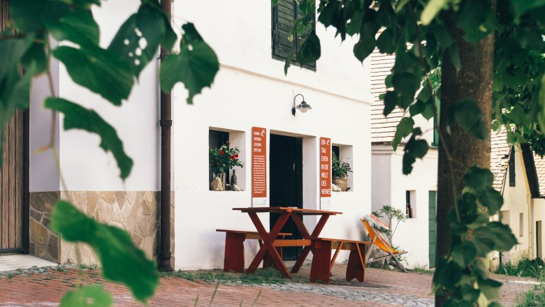 Ein gemütlicher Weinkeller in der Falkenstein Kellergasse mit Holztisch und Pflanzen.