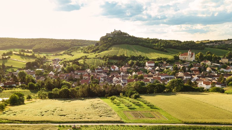 Luftaufnahme eines Dorfes mit Weinbergen und einer Burg auf einem H&uuml;gel im Hintergrund.