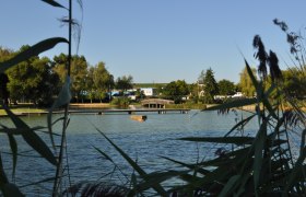 Ein ruhiger Badeteich mit Brücke und Bäumen im Hintergrund, umrahmt von Schilf.